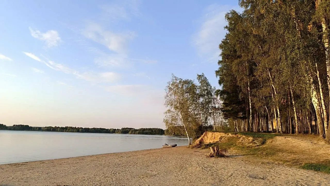 Песчаный берег водохранилища у соснового леса